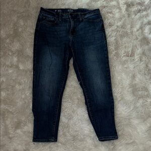a.n.a Dark Indigo and Faded Blue Skinny Jeans